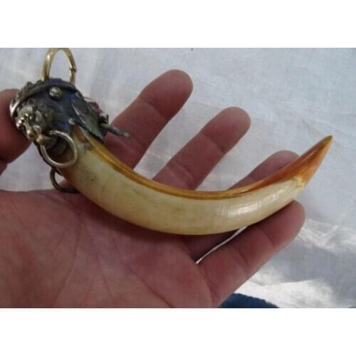 Bronze Lion a package boar tooth enamel antique town house to ward off bad luck