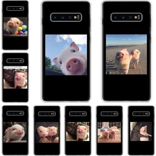 Cute Little Pink Pet Pig Phone Case For Samsung Galaxy A71 A70 A51 A50 A41 A40 A30 A21 A10 A01 A90 A20S A20E A10S M30S A6 A7 A8