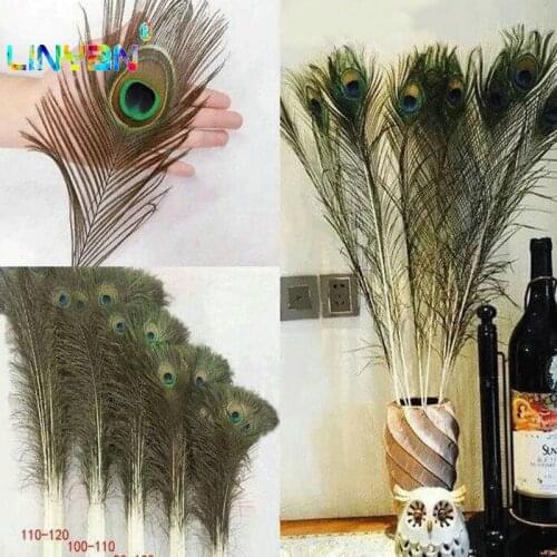 10 pcs Fashion Natural Peacock Wedding Gifts Tail Eyes Feathers 8-12 Inches about 25-30cm Arranging flowers fashion t49