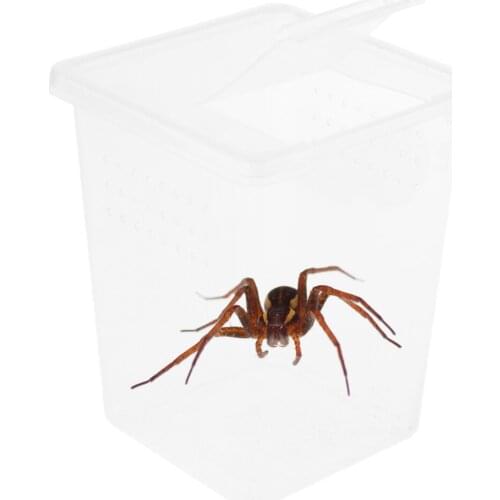 Reptile Spider Breeding Box Container Case Hatching Tank 8x8x11cm