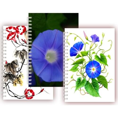 Morning Glory Spiral Notebook Inspirational Plant Ipomoea Nil Flower Notepad Chinese Ink Wash Painting Sketch Book Blank Page