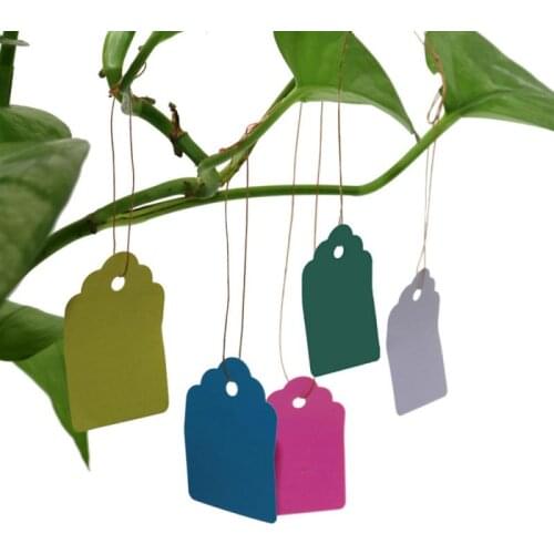 100 Pcs Waterproof Ribbon Line Plant Label Plant Tag Tag Flower Pot Marker Sign Gardening Decoration Gardening Tool