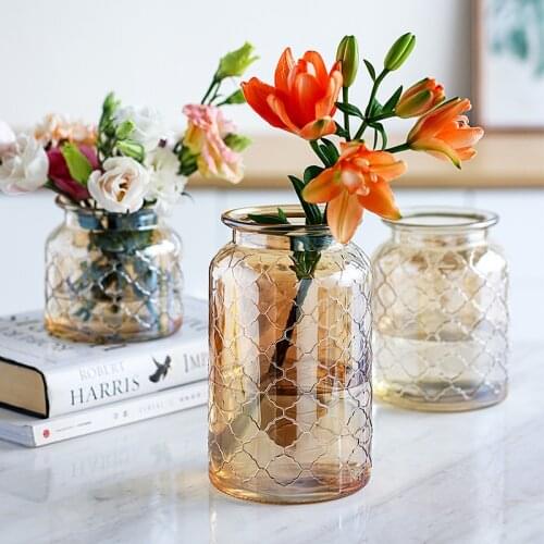 Glass Vase Living Room Dried Flowers Nordic Glass Transparent Home Decoration Accessories Flower Vases Tabletop Vase