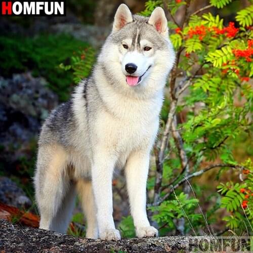 HOMFUN Full Square/Round Drill 5D DIY Diamond Painting "Animal dog" 3D Embroidery Cross Stitch 5D Home Decor A17664