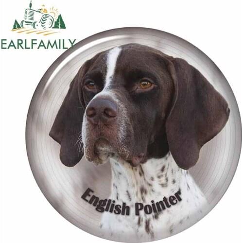 EARLFAMILY 13cm x 13cm for English Pointer Dogs 101 Freesongs DIY Funny Car Stickers Bumper Decoration Car Accessories Decals