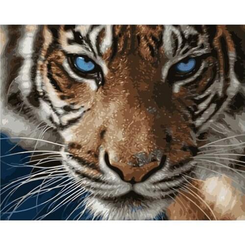 Paint by Number Kits, DIY Digital Canvas Oil Painting Gift for Kids, Students, Adults Beginner-Colorful Lions tiger