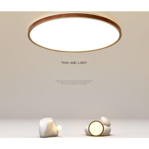 Indoor LED Chandelier Light Furniture Decoration Lamps For Bedroom Living Room Corridor Luminaire Different Shape Modern Style