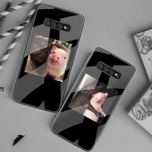 Little Black and Pink Pet Pig Phone Case Tempered Glass For Samsung S20 Plus S7 S8 S9 S10 Plus Note 8 9 10 Plus