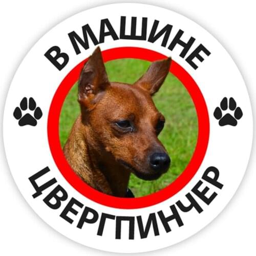 B0210 Self-Adhesive Decal Miniature Pinscher Car Sticker Waterproof Auto Decors on Bumper Rear Window