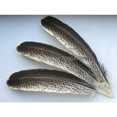 Feathers! 10Pcs/lot! 20-30cm long Wild Turkey Wing Feathers,Natural Grey Round Wild Turkey Feather Quills