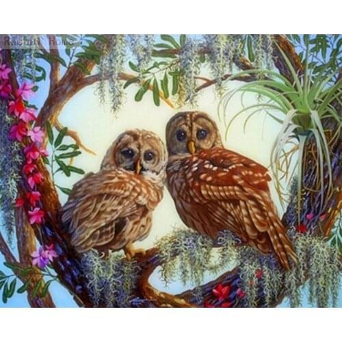 Diamond Embroidery Diy Diamond Painting Cross Stitch Kits Diamond Mosaic Owl Full Square Diamond Embroidery AD064