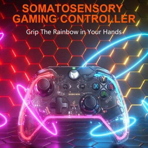 BIGBIG Rainbow C1 Somatosensory Wired Gamepad Joystick APP Real-time Custom Turbo Setting For Nintendo Switch PC Gaming Console