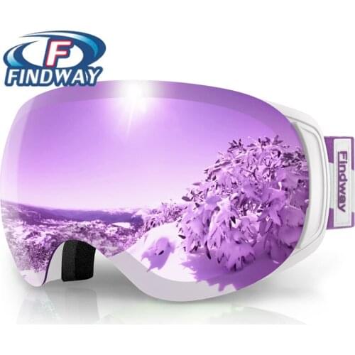Ski Goggles Findway China