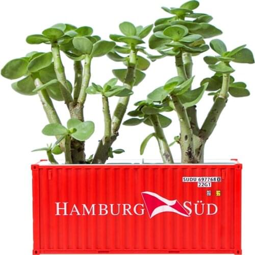 Container Model Vase Creative Succulents Plant Pot Garden Storage Flower Pot Micro Landscape Decor Shipping Container Box Pot