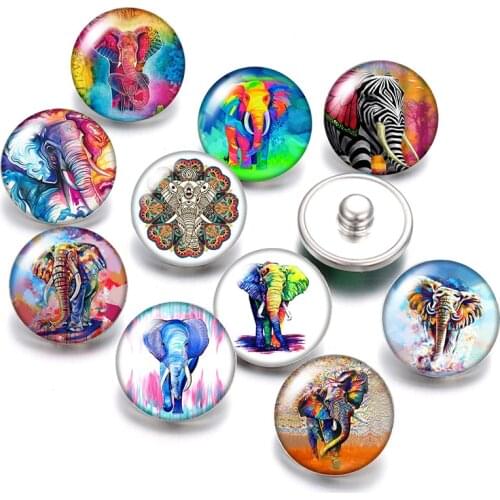 DB0459 elephant Animals 18mm snap buttons 10pcs mixed round photo glass cabochon style for snap button jewelry