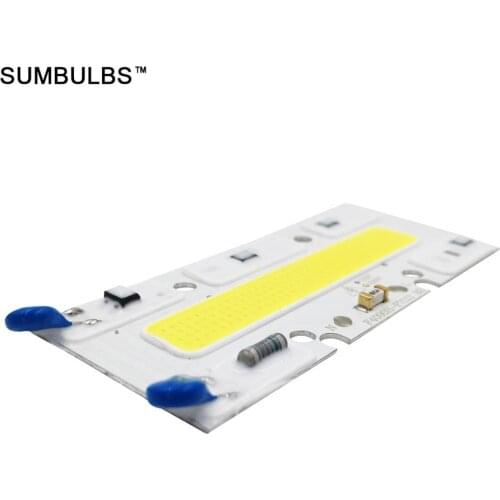 Sumbulbs AC 110V 220V COB LED Smart IC Chip 150W 100W 70W 50W 30W Bulb Lamp Light Source Warm Cold White for Floodlight
