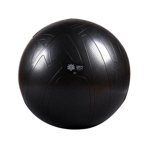 1pc Yoga Ball Exercise Ball Training Ball Pilates Ball Professional for Gym