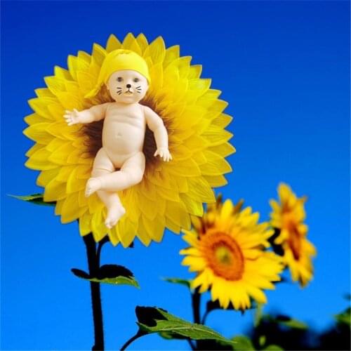 Newborn Baby Photography Props Sunflower Shape European And American Style Photographic Accessories