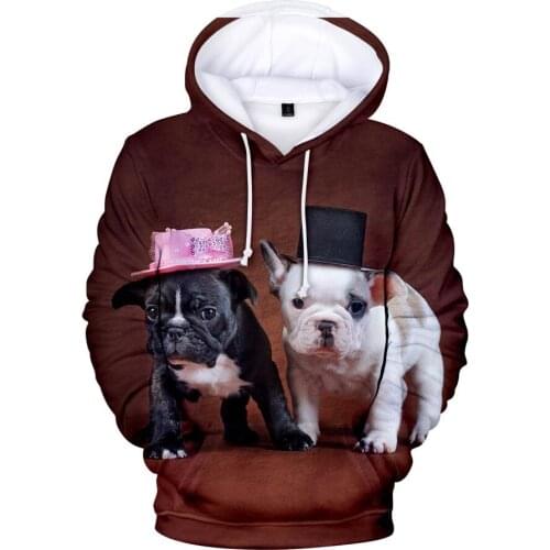 2020 Cute French Bulldog 3D Hoodies Men/women Sweatshirt Hoody Hoodies Mens Clothing Autumn Hoodie Print Unisex Casual KPOP