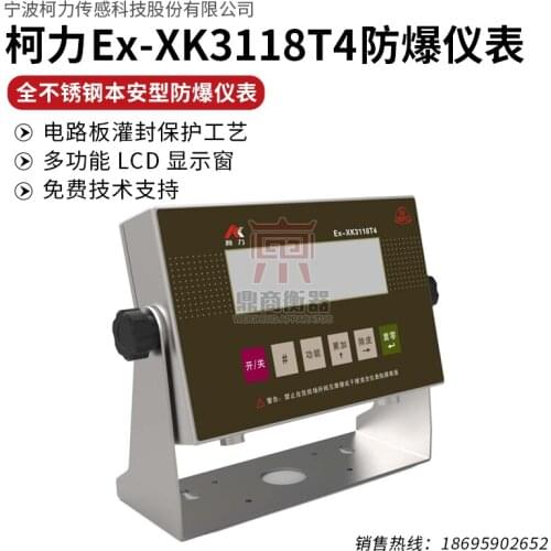 Ex-XK3118T4 instrument