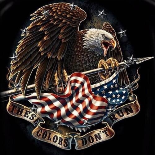 Full diamond painting eagle bird embroidery mosaic diamond dotz bicycle rhinestone picture puzzle toy drawing wall decor frog