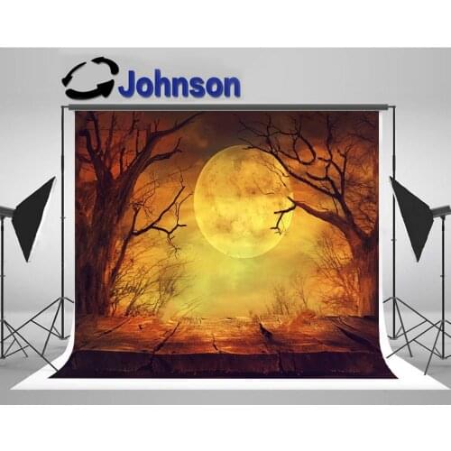 Halloween Spooky Forest Full Moon Wooden backdrops High quality Computer print party photo studio background