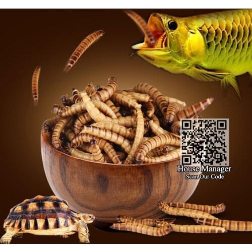Aquarium Fish Feed Fresh-keeping Yellow mealworm & Barley pest worm for Tropical Fish Dragonfish Blood Parrot Flowerhor big fish