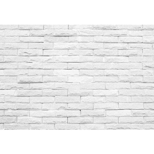 White brick wall backgrounds model photo vinyl fotografia art photography backdrops for photographer studio accessories G-1068