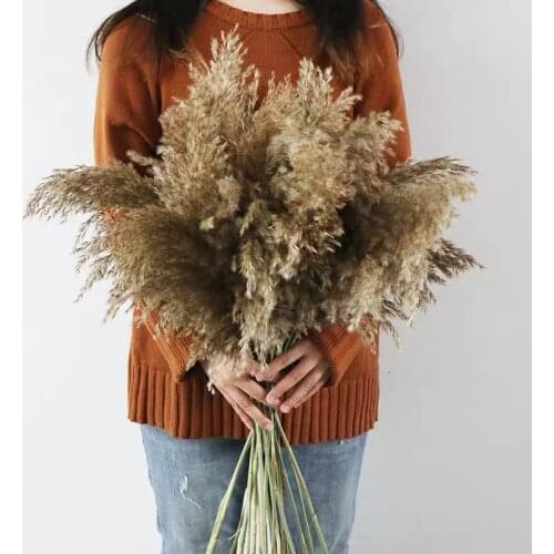 Dried Pampas Grass Decor Wedding Flower Bunch Natural Plants for Home Christmas Decorations artificial fake flowers
