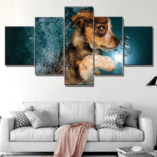 Unframed 5 Piece Border Collie Dog Underwater Cute Animals Canvas Print Painting Living Room Wall Art Picture Gift Decoration
