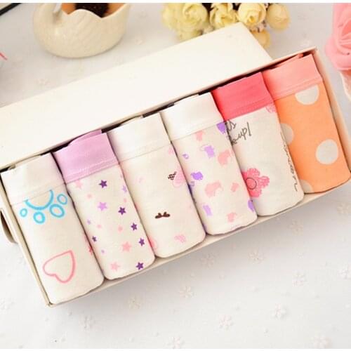 6 Pcs/Lot Panties Women Underwear Cotton Panties Girls Sexy Womens Briefs Panty Ladies Female Underwear For Women