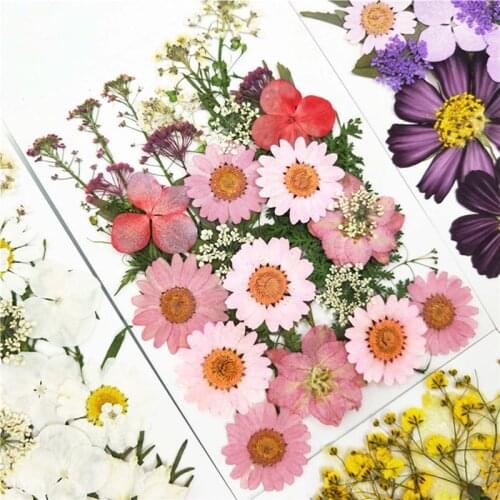 DIY Natural Pressed Dried Flowers Resin Mold Fillings UV Expoxy Flower for Nail Art Pressed Flowers for Home Decor Handicraft