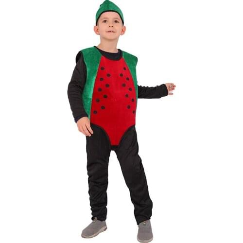NEW Cute Child Children watermelon Fruit Cosplay Costumes For Boys Girls Jumpsuits Halloween Party Stage Performance Costumes