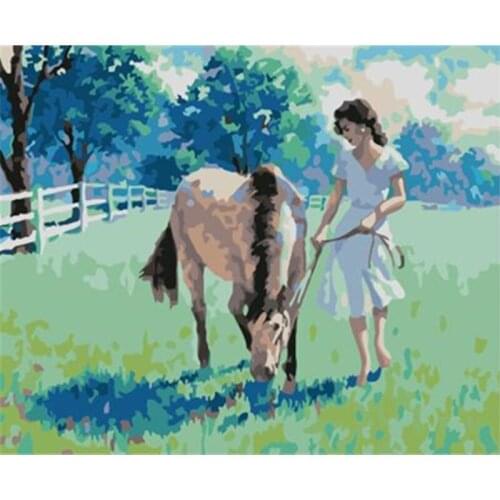 Painting By Numbers DIY Dropshipping 40x50 50x65cm Princess and white horse Figure Canvas Wedding Decoration Art picture Gift