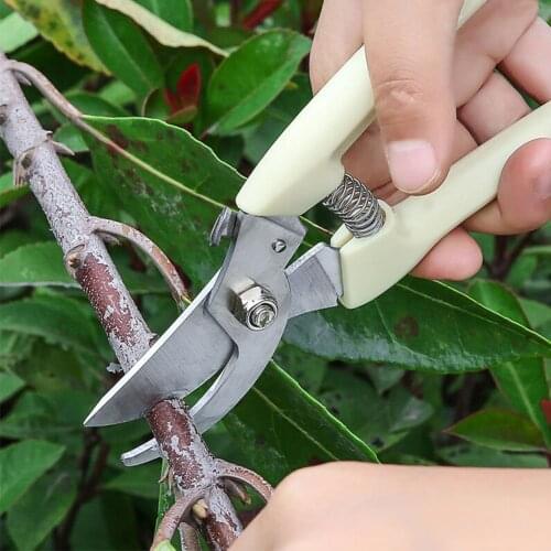Tesoura de poda Garden pruning shears manual 0rchard Shear pruning cut secateur tree Branch Hand pruner graft cutter