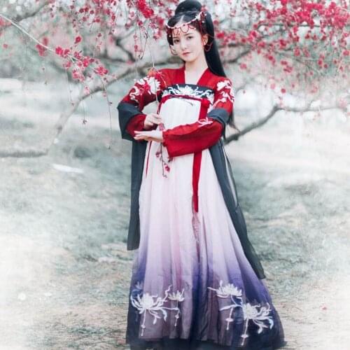 Hanfu Women Costume Tang Dynasty Traditional Ancient Chinese Folk Dance Fairy Skirt Sleeved Length Performance Clothing