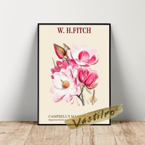 Walter Hood Fitch Poster, CampbellS Magnolia Illustrations, W. H. Fitch Himalayan Plants Prints, Retro Flower Leaf Wall Picture