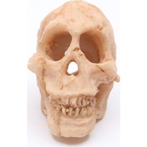 New 100pcs/lot 1.8 inch Resin Skull Head Small craftmanship Terrifying Skeleton Ornament Halloween Prank Props