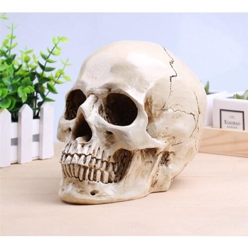 [MGT] Skull Resin Crafts Halloween Decorations Sculpture Statues Sketch Props Bar Clothing Store Decoration