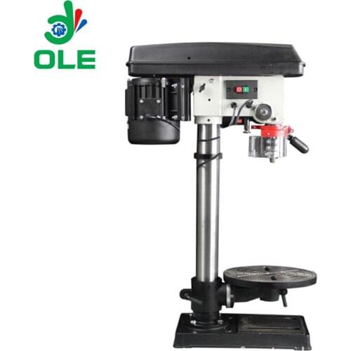 Technical Sales Video Plastic Energy Support Plant Type 750W Electric Drill Press Drilling Machine