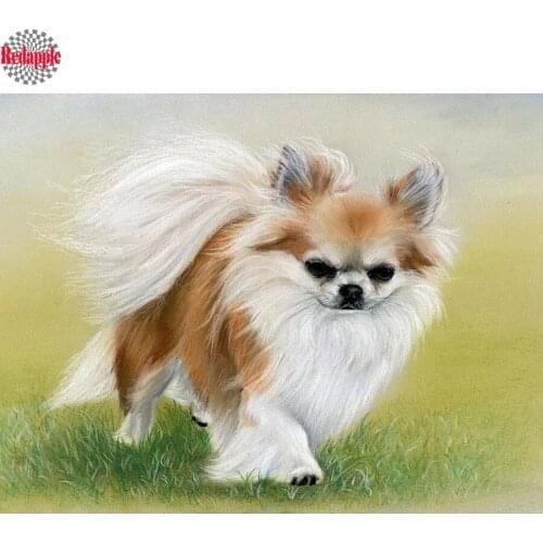Full square/round DIY diamond Embroidery Pomeranian Dog diamond painting Cross Stitch Kit Rhinestone Mosaic painting Wall art