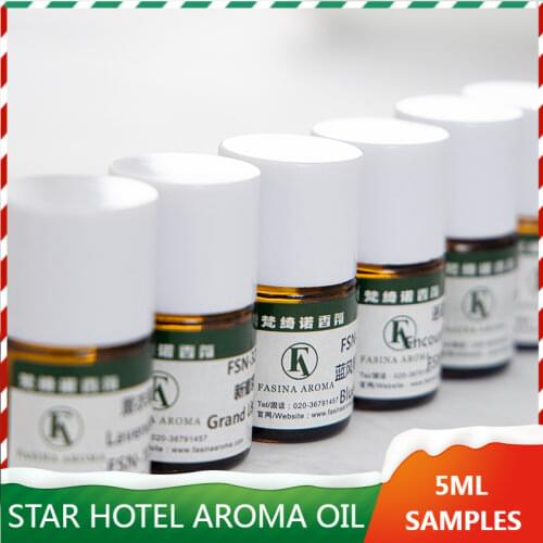 5ML Essential Oils Box Perfume Set Used For Parfum Device Scent Machine and Humidfier 10 Pcs Per Box