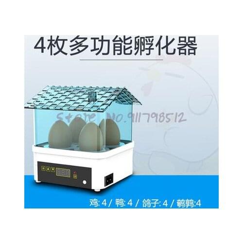 Incubator Small Household Water Bed Automatic Intelligent Mini Keer Duck Childrens Chicken Incubator 1 Small