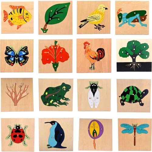 Baby Toy Kids Montessori Cartoon Animal Bird Puzzles for Children Wood for Early Childhood Education Preschool Training Learning