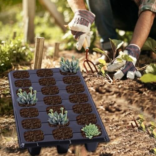 Akoyovwerve Seedling Pots