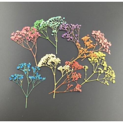 100pcs Mini Pressed Dried Gypsophila Flower For Wedding Party Home Pendant Necklace Craft DIY Bouquet Accessories