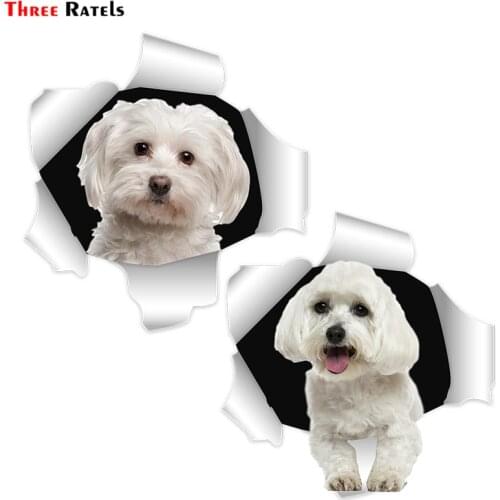 Three Ratels FC896 Maltese Dog Malta Puppy custom car sticker gift stickers Auto accessories school decals laptop decal