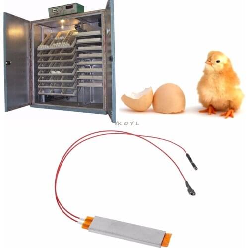 Heating Incubator Heater Element Plate For Eggs Incubator Accessories 110V 220V