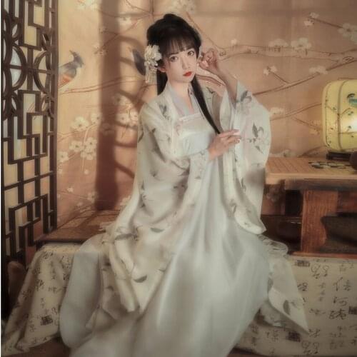 Chinese Traditional Folk Dance Costume Women Dress Hanfu Fairy Crane Print Stage Performance Costume Oriental Retro Kimono Skirt