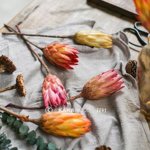 Northern European-Style High-End Imported Flowers Natural Dried Flowers Imported Flowers South African Royal Series-Jianlian